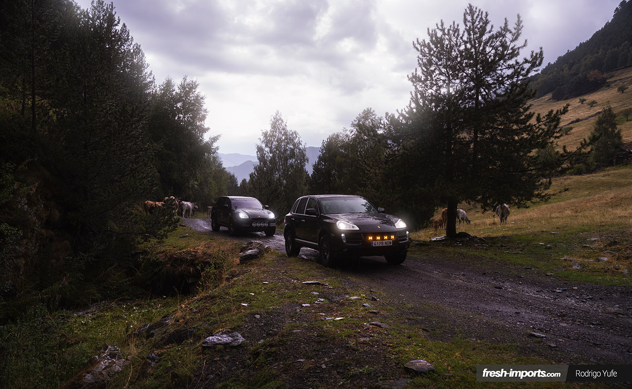 Vista general de dos Porsche Cayenne en la Ruta de los Contrabandistas con vacas al fondo
