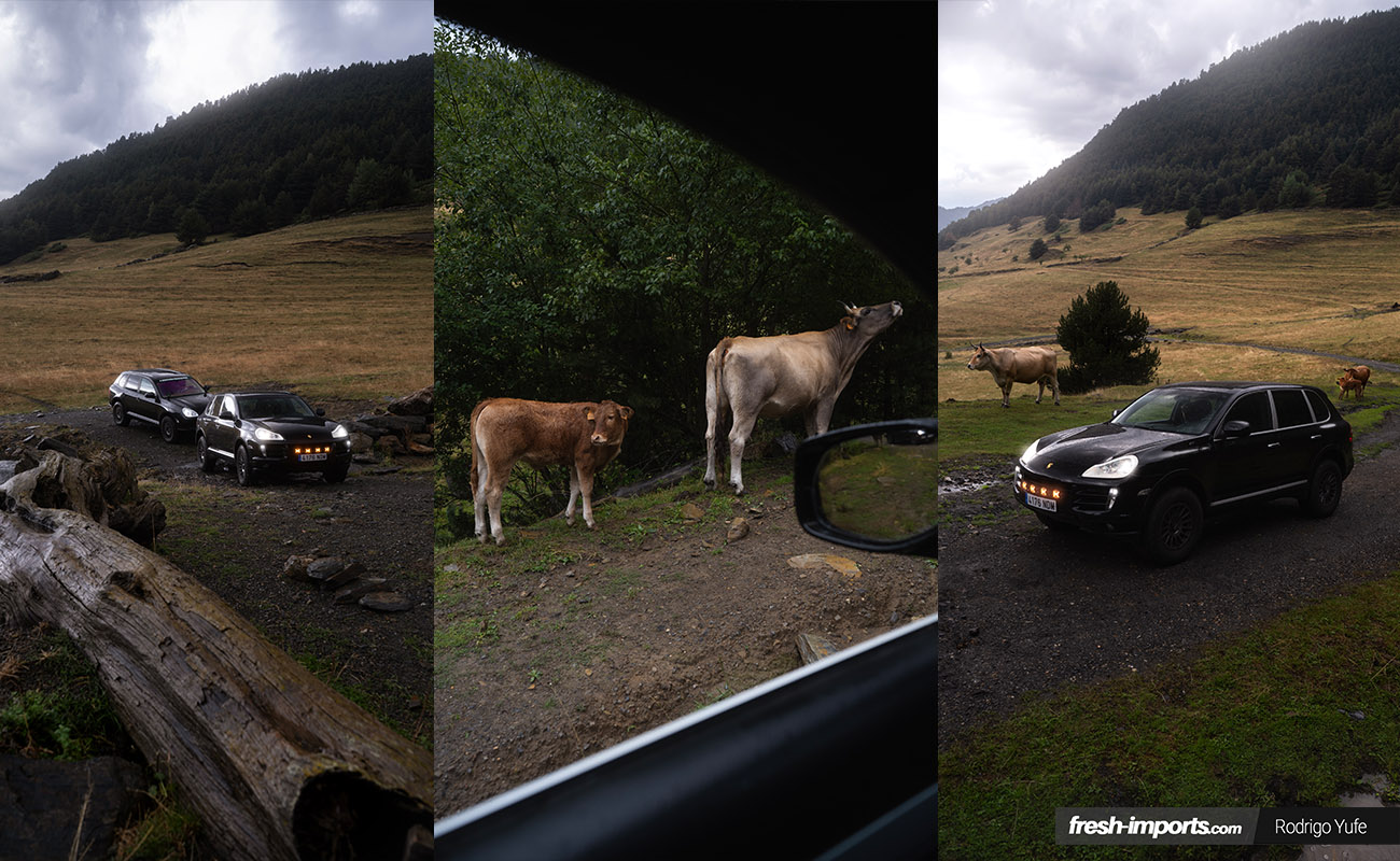 Composición de fotos del paisaje, naturaleza con los Porsche Cayenne de protagonistas